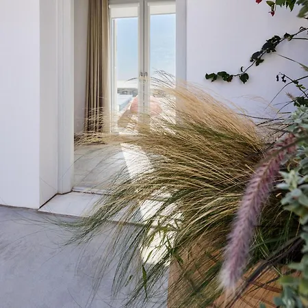 Villa Nites In Syros Liaropá